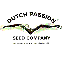 Dutch Passion