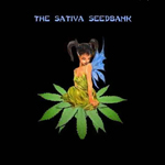 Sativa Seedbank