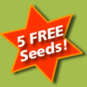 5 Free Cannabis Seeds Offer